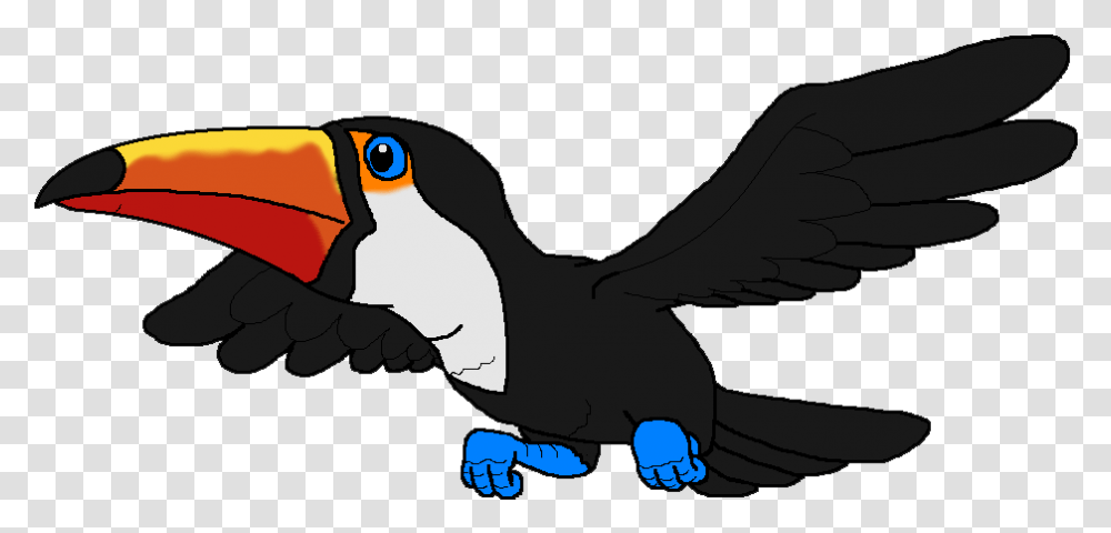 Toucan Clipart Real Beak, Bird, Animal, Penguin, Puffin Transparent Png