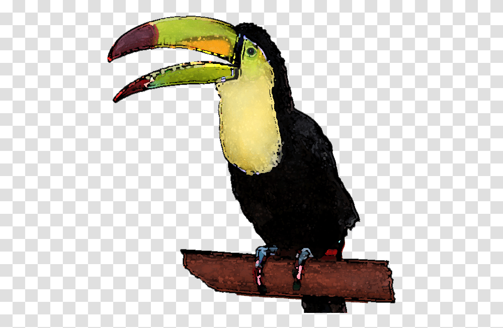 Toucan Clipart Toucan Background, Bird, Animal, Beak Transparent Png