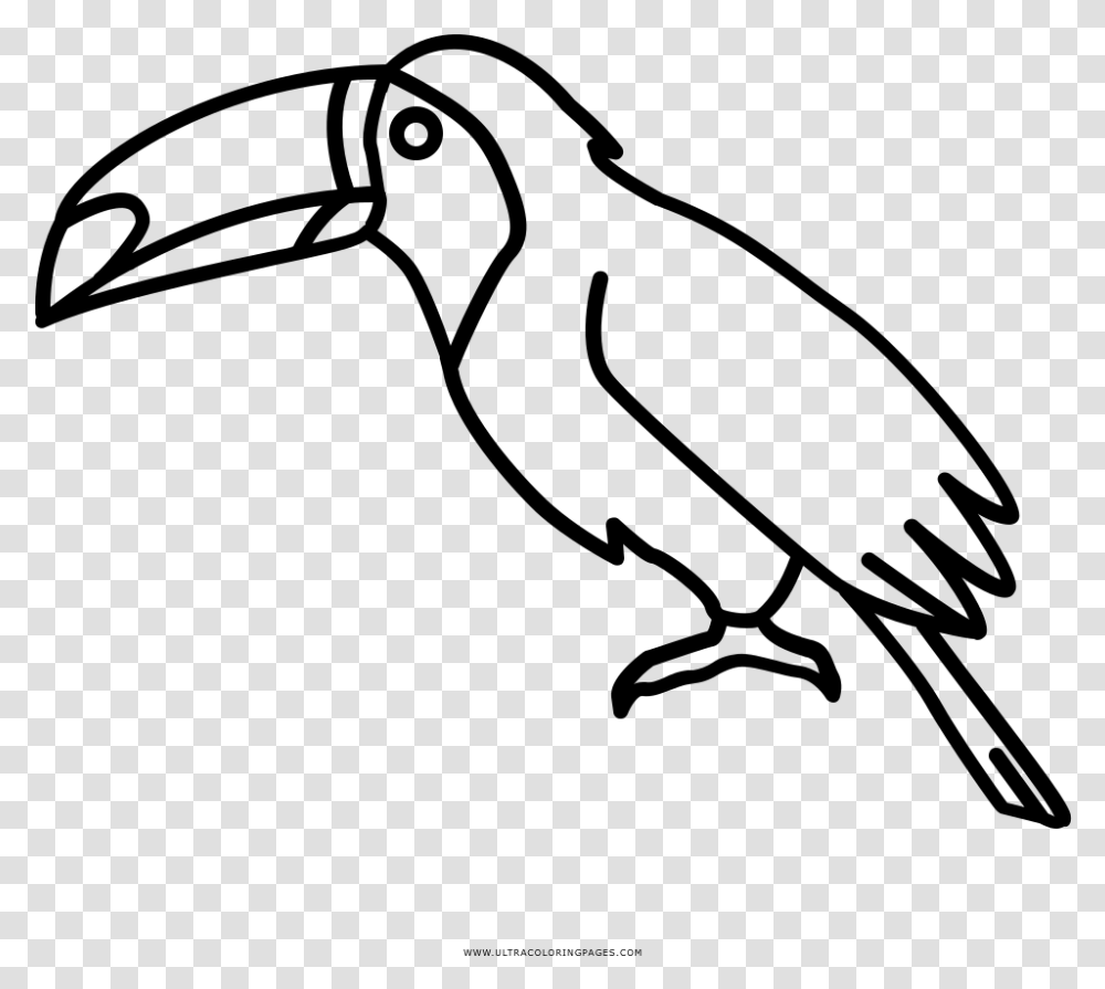 Toucan Coloring, Gray, World Of Warcraft Transparent Png