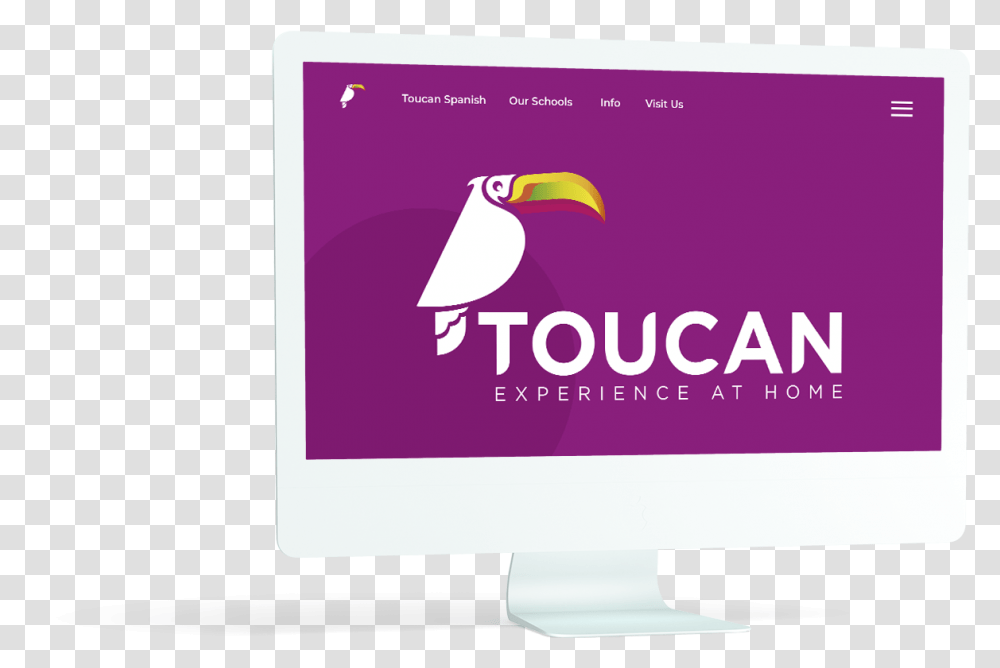 Toucan Experience At Home Graphic Design, Beak, Bird, Animal Transparent Png