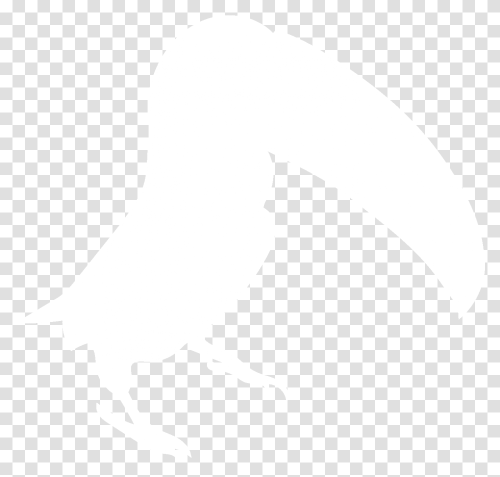 Toucan Icon White Illustration, Animal, Silhouette, Bird Transparent Png