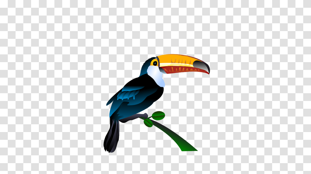 Toucan Image, Bird, Animal, Beak Transparent Png