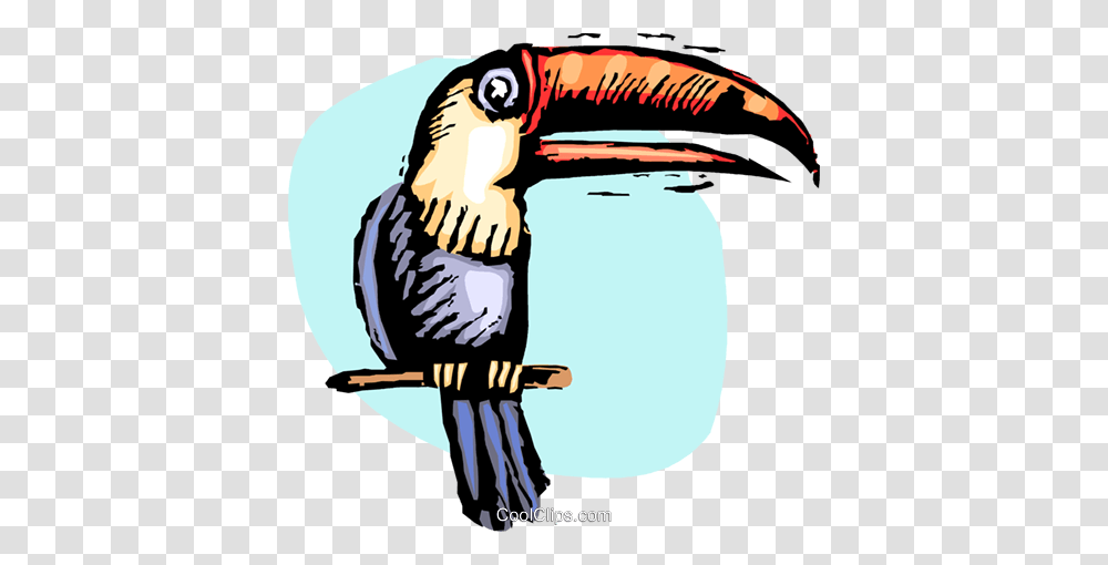 Toucan On Perch Royalty Free Vector Clip Art Illustration, Beak, Bird, Animal, Vulture Transparent Png