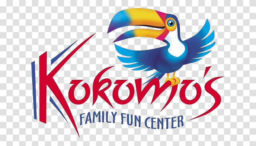 Toucan, Poster, Advertisement, Animal, Bird Transparent Png