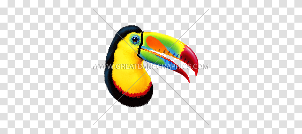 Toucan Production Ready Artwork For T Shirt Printing, Beak, Bird, Animal Transparent Png