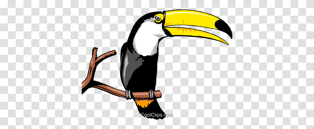 Toucan Royalty Free Vector Clip Art Illustration, Bird, Animal, Beak Transparent Png