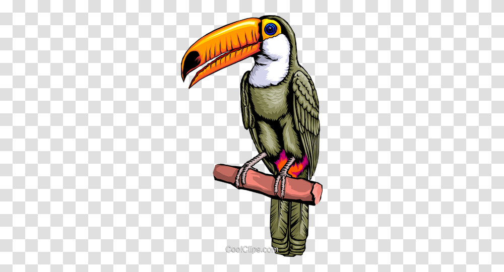 Toucan Royalty Free Vector Clip Art Illustration, Vulture, Bird, Animal, Beak Transparent Png