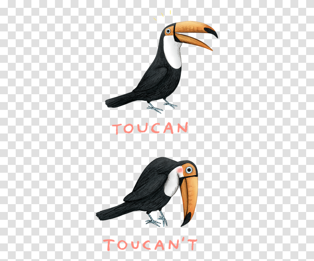 Toucan Shirt, Bird, Animal, Beak, Blackbird Transparent Png