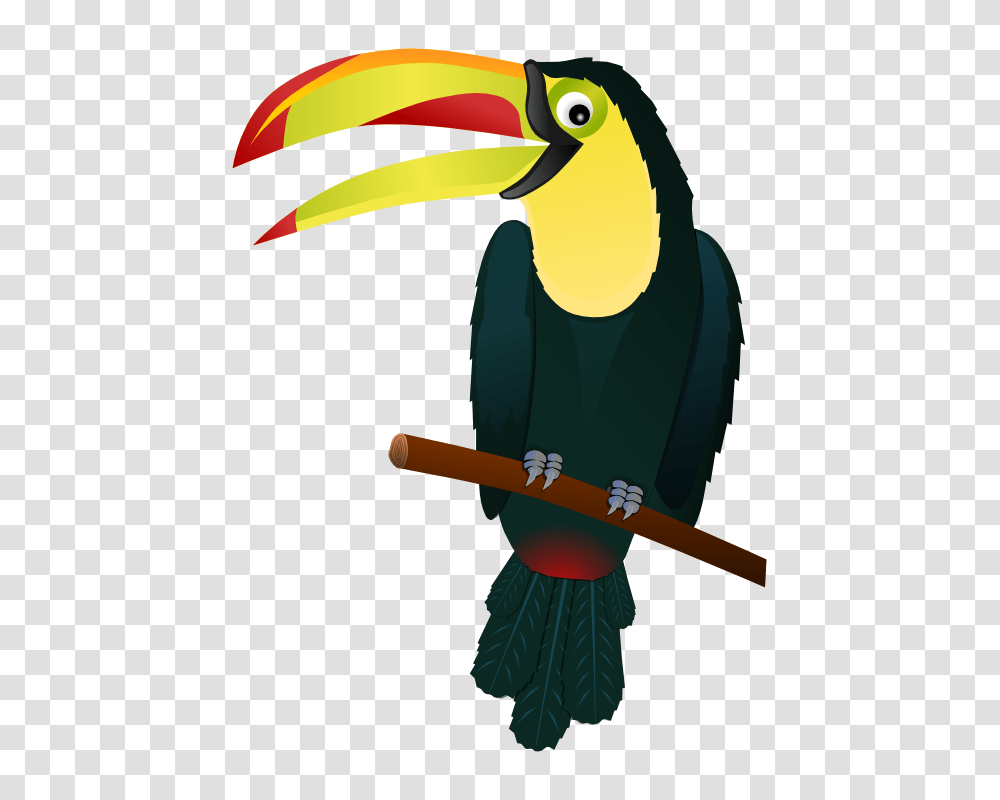 Toucan Toucan, Bird, Animal, Beak Transparent Png