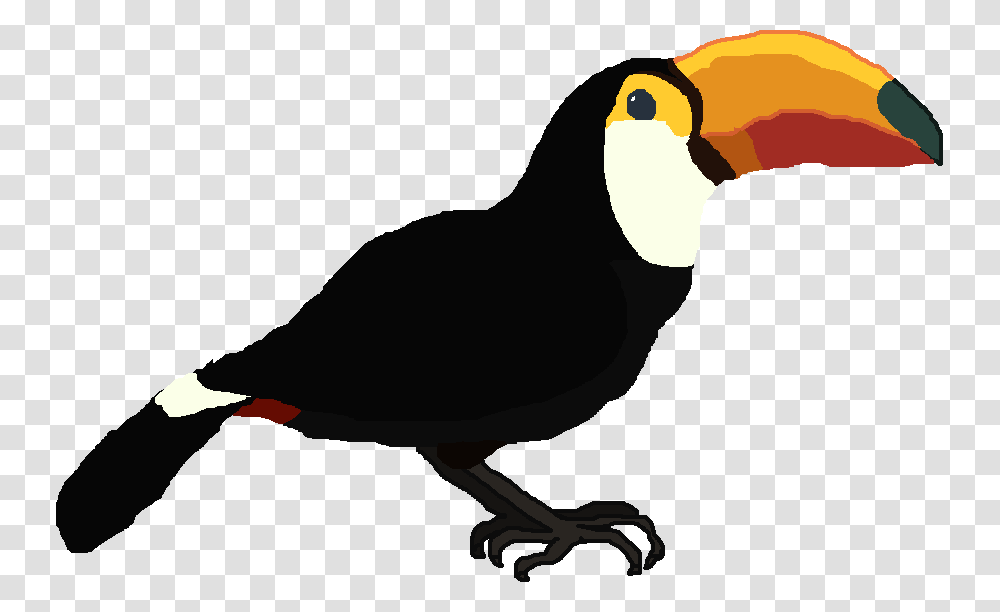 Toucan Toucan, Bird, Animal, Person, Human Transparent Png