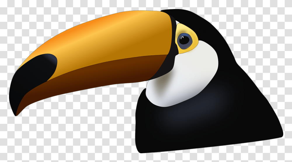 Toucan Tucano, Beak, Bird, Animal, Banana Transparent Png