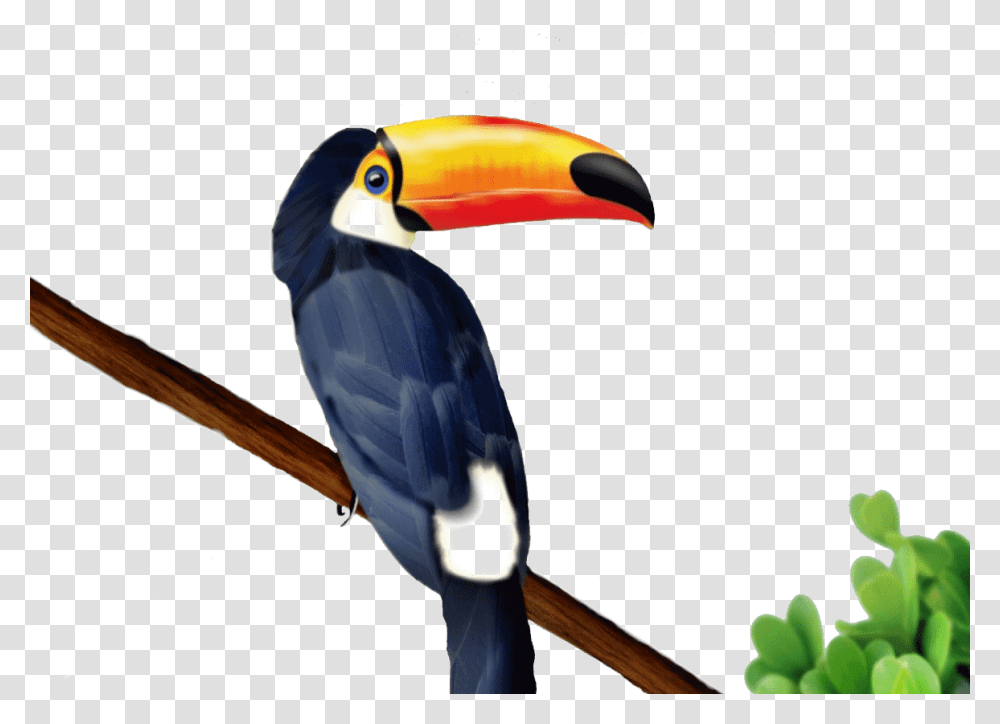 Toucan V 0 4 94 8 Kbytes Toucan Coloring, Bird, Animal, Beak Transparent Png