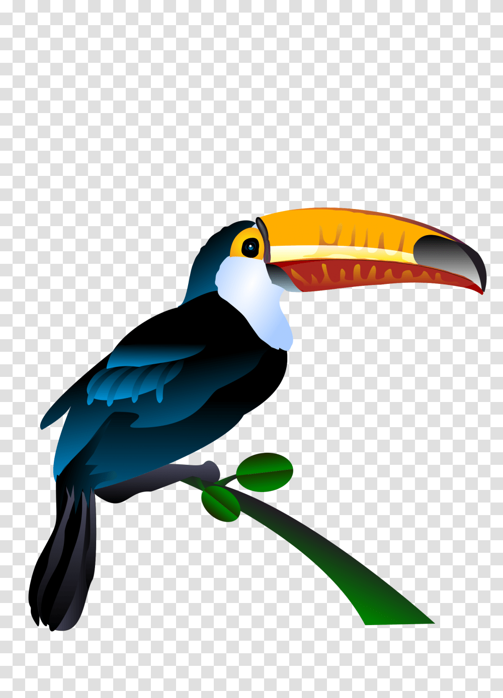 Toucan Vector Art Image, Bird, Animal, Beak Transparent Png