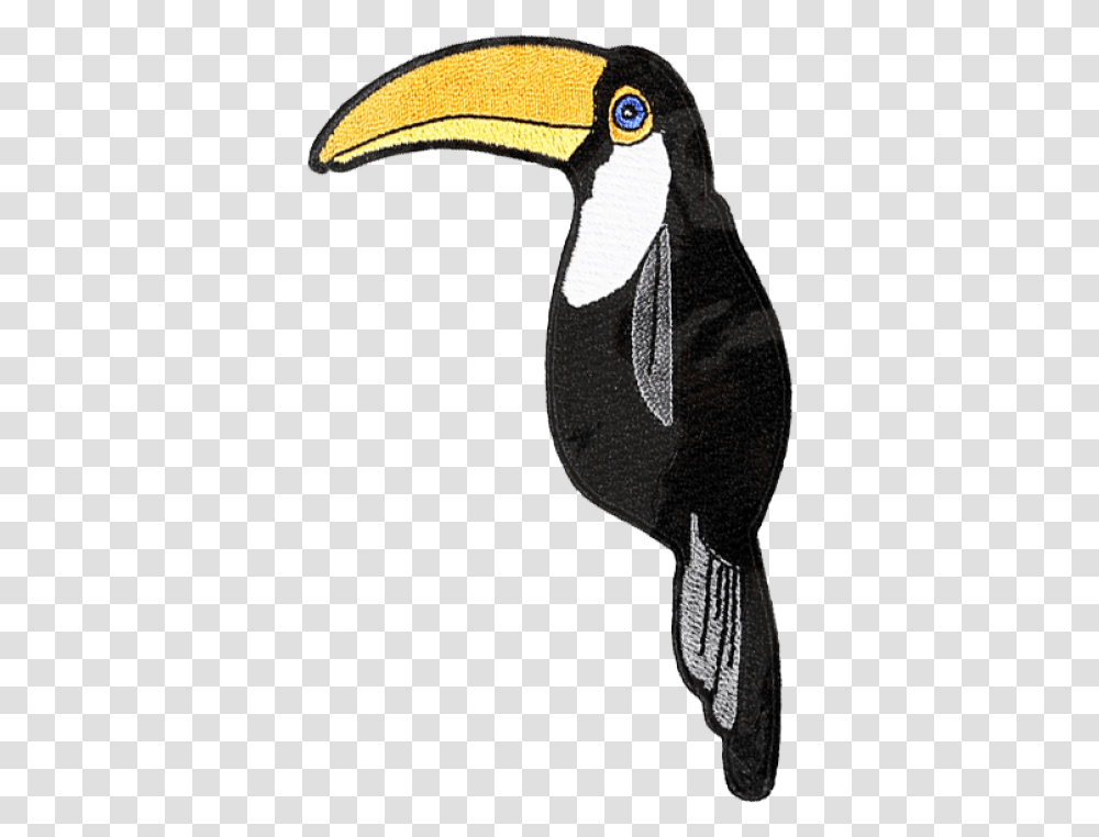 Toucan, Vulture, Bird, Animal Transparent Png