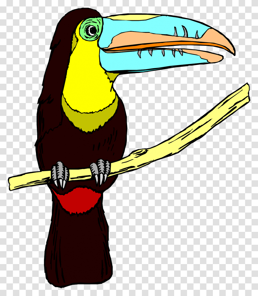 Toucans, Bird, Animal, Beak, Bee Eater Transparent Png
