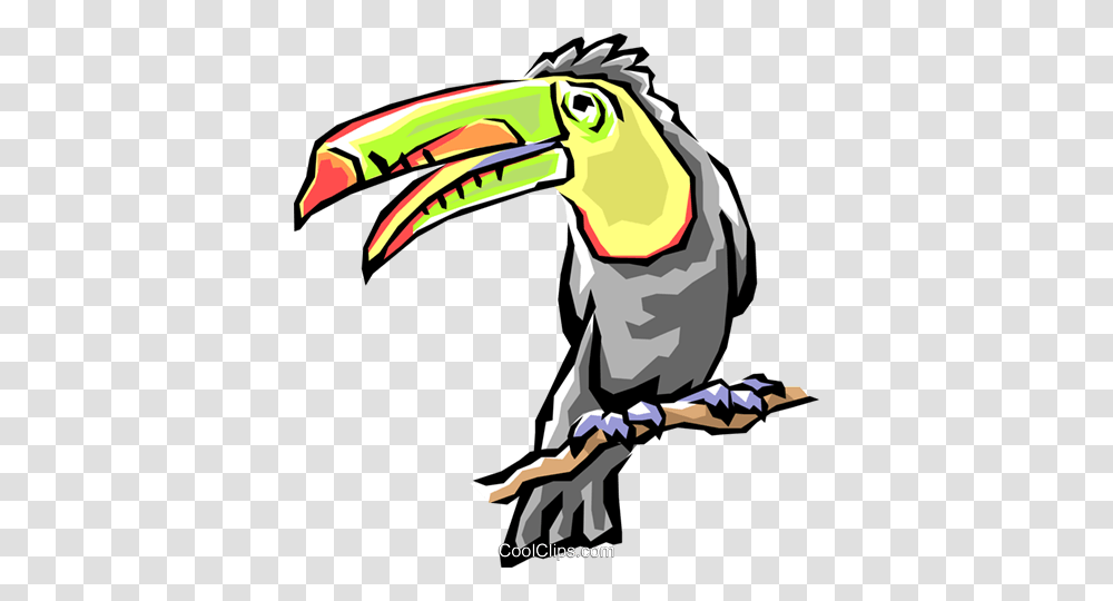 Toucans Royalty Free Vector Clip Art Illustration, Beak, Bird, Animal Transparent Png