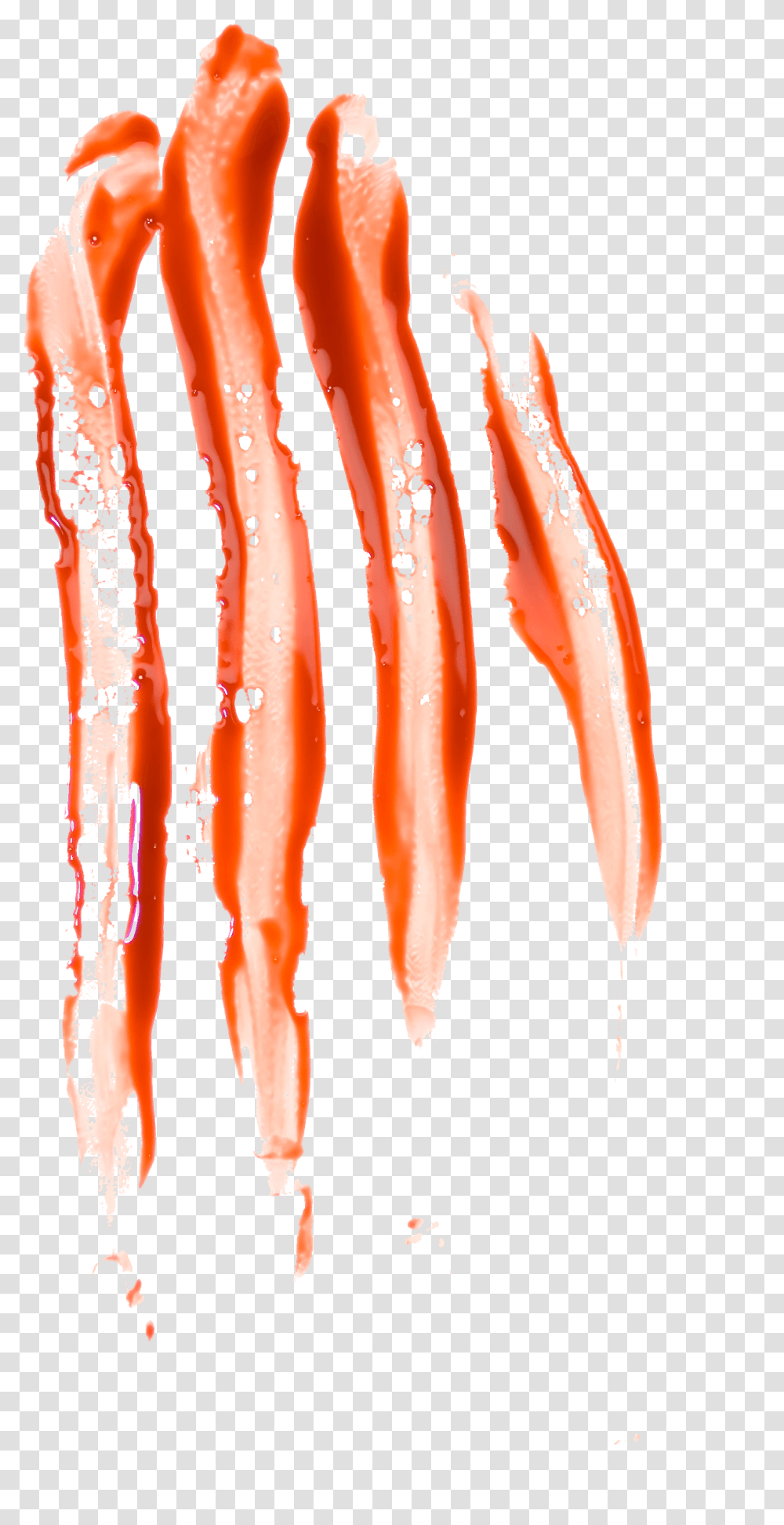 Touch My Blood Album, Food, Seafood, Sea Life, Animal Transparent Png