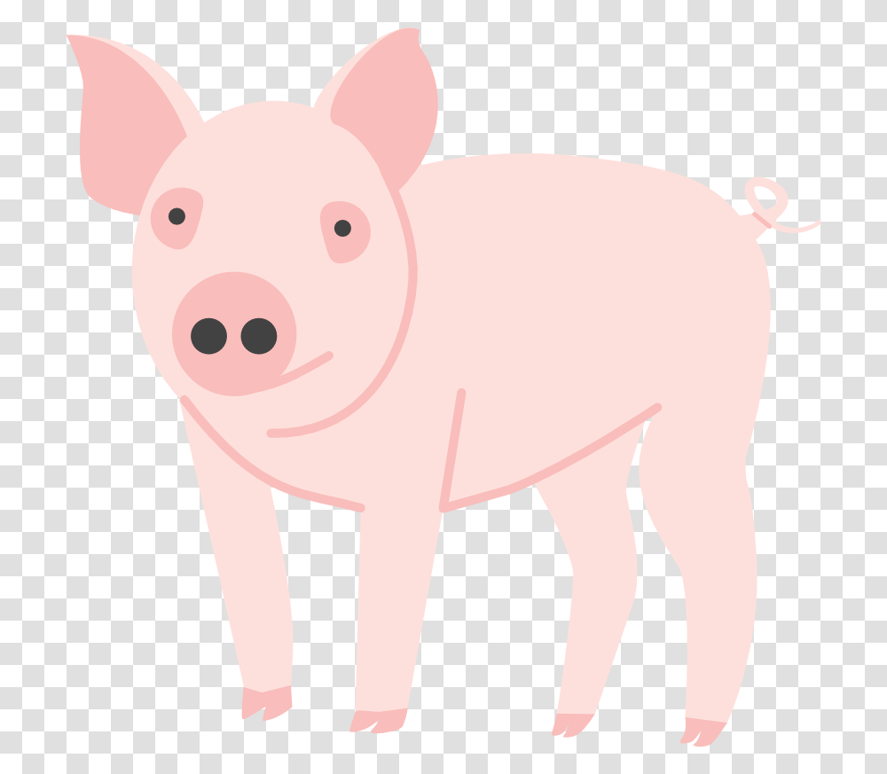 Tour 4honline Record Book Domestic Pig, Mammal, Animal, Hog, Boar Transparent Png