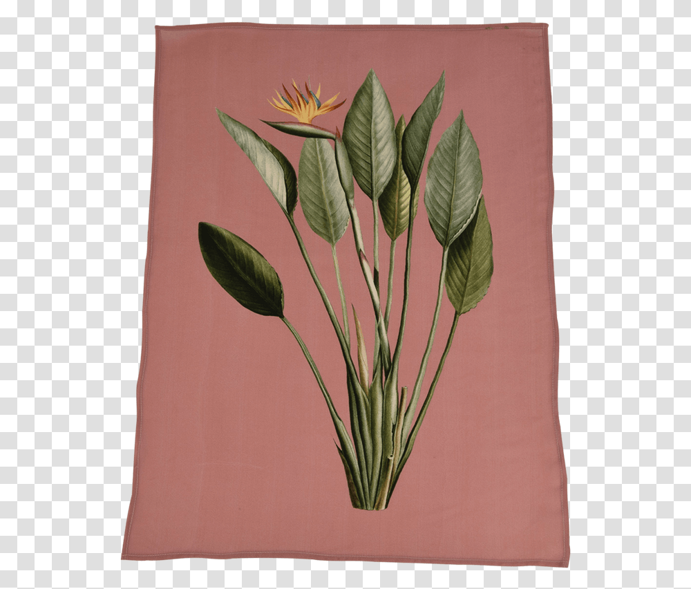 Towel, Plant, Flower, Canvas, Petal Transparent Png