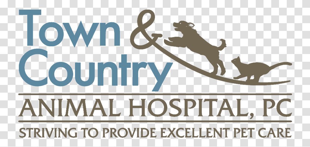 Town Amp Country Animal Hospital U, Alphabet, Poster, Advertisement Transparent Png