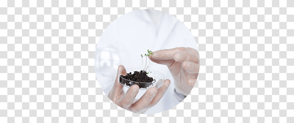 Toxikolog Ln Composting, Plant, Person, Sprout, Soil Transparent Png