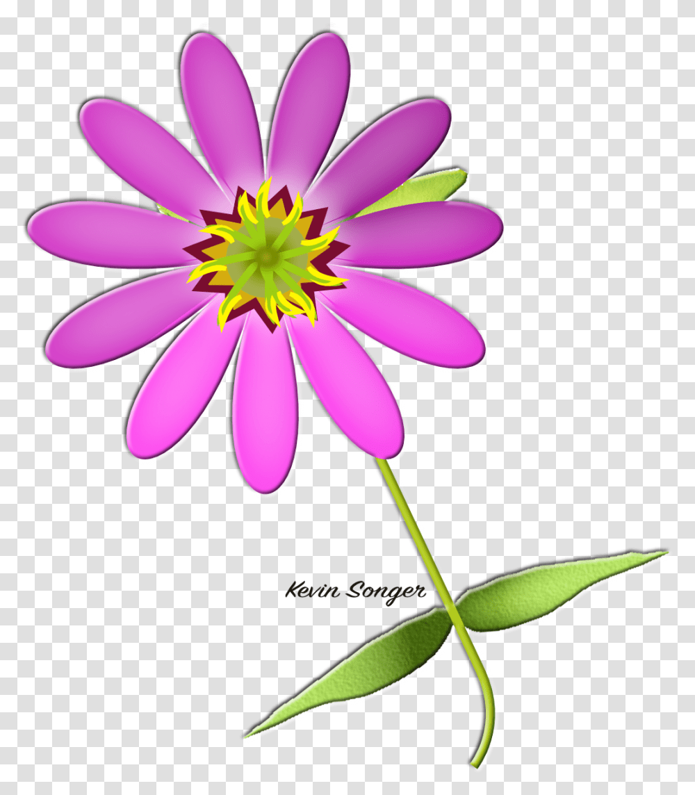 Toy, Plant, Petal, Flower, Blossom Transparent Png