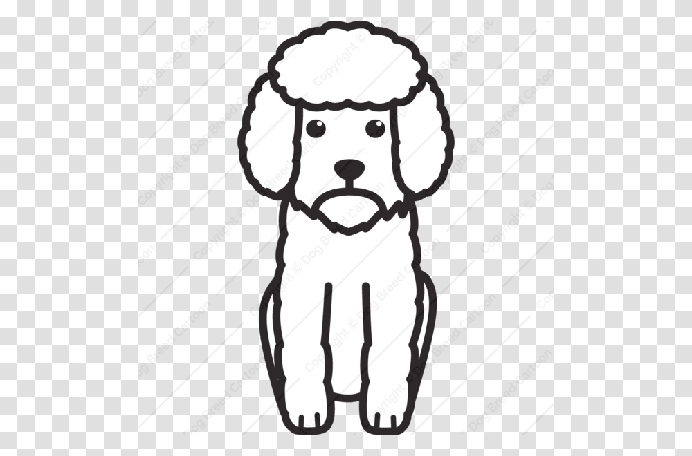 Toy Poodle Dog Breed Cartoon Download Now, Canine, Mammal, Animal, Pet Transparent Png