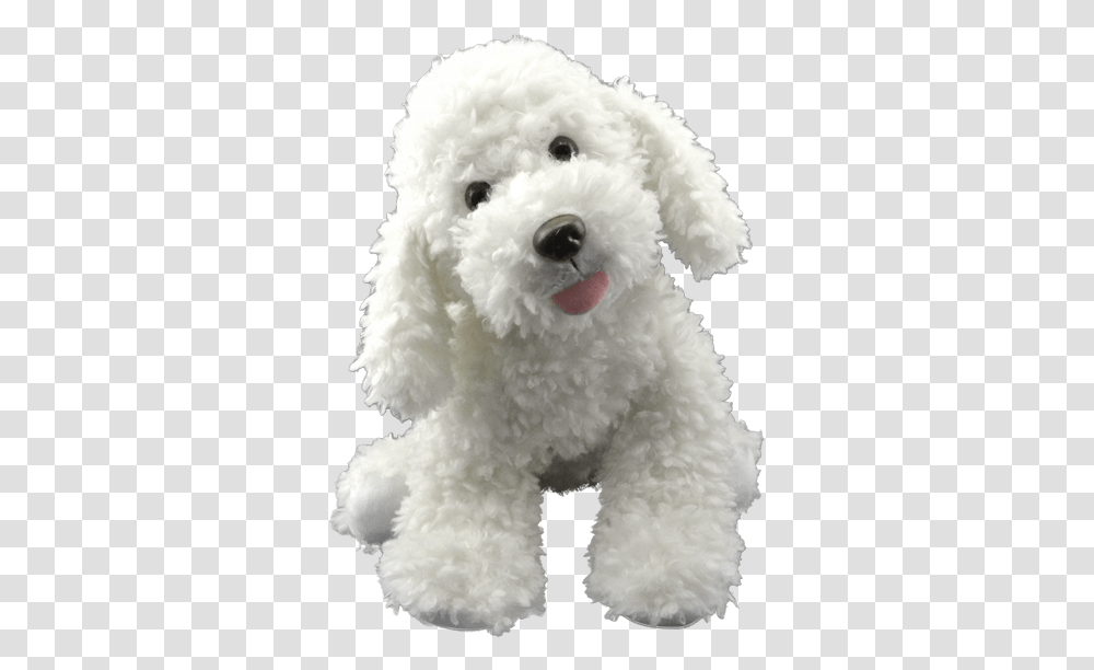 Toy Poodle, Plush, Dog, Pet, Canine Transparent Png