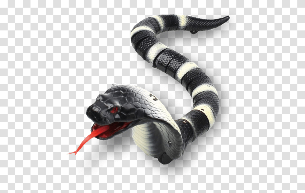 Toy Rc Cobra, Animal, Person, Human, Bird Transparent Png