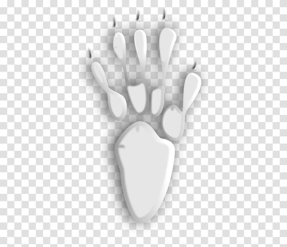 Trace, Animals, Hand, X-Ray, Medical Imaging X-Ray Film Transparent Png