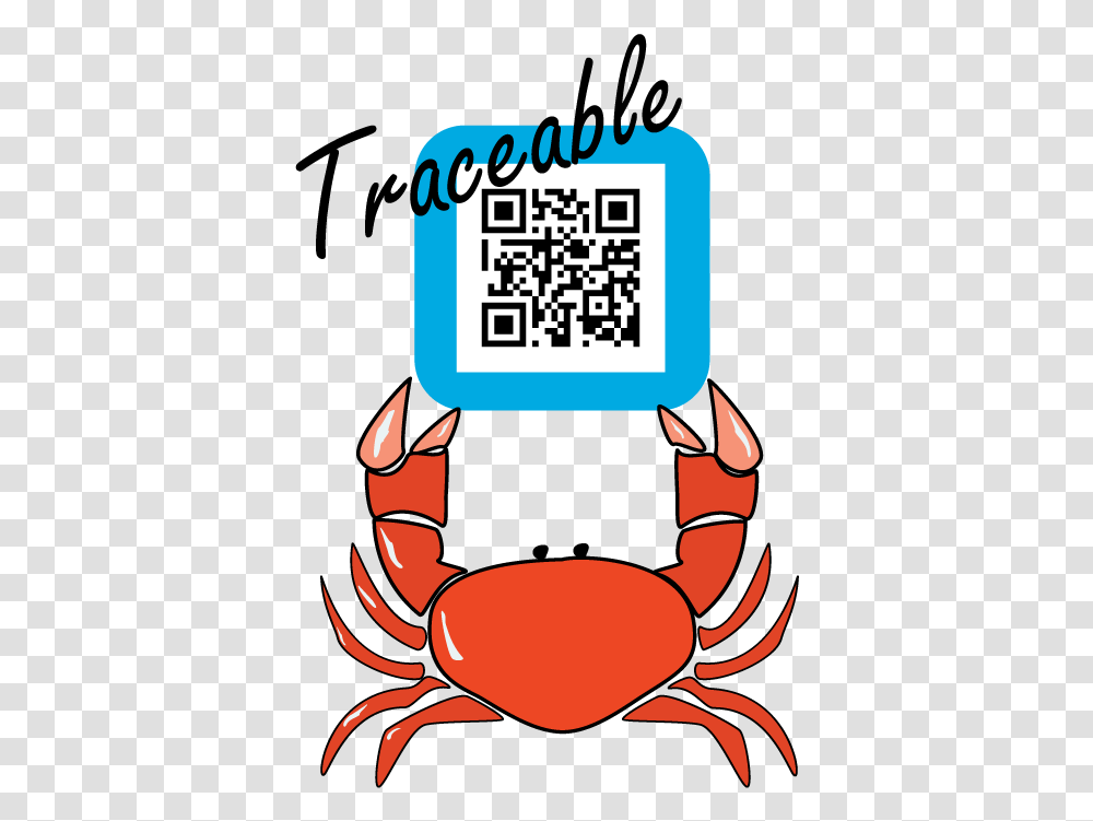 Traceable Amp Sustainable Crab Cancer, Food, Animal, Sea Life, Seafood Transparent Png