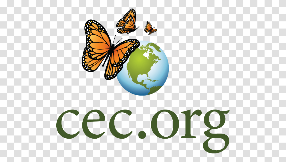 Tracking Kerning And Leading, Animal, Insect, Invertebrate, Monarch Transparent Png