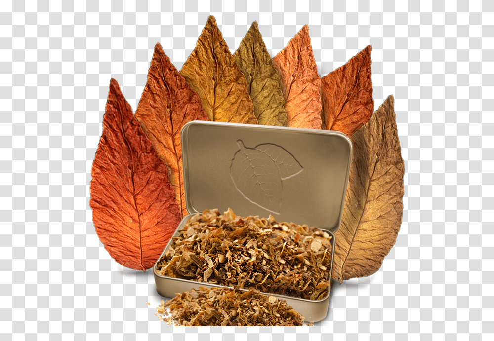 Traditional Flavors Construction Of Electronic Cigarettes, Leaf, Plant, Tobacco, Gold Transparent Png