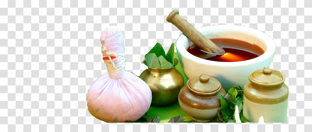 Traditional Knowledge System Medicine, Plant, Bowl, Pottery, Food Transparent Png