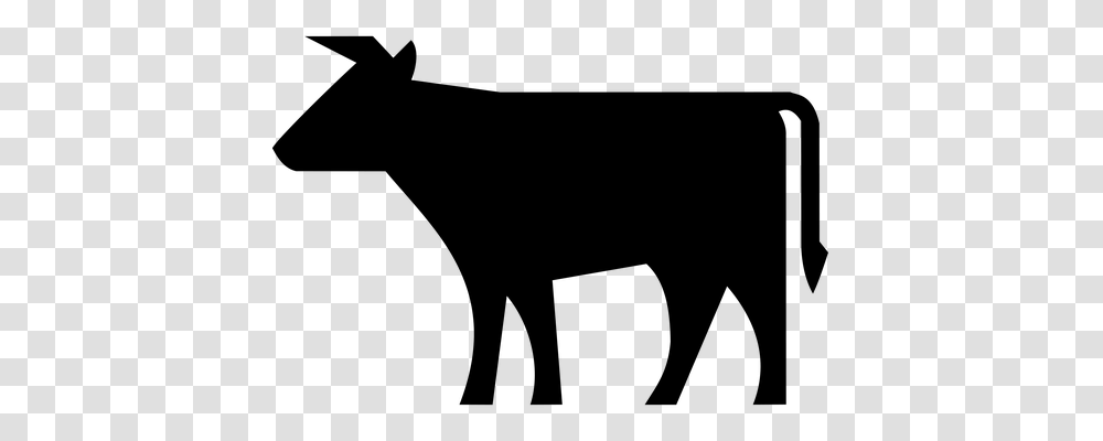 Traffic Sign 6676, Animals, Gray, World Of Warcraft Transparent Png