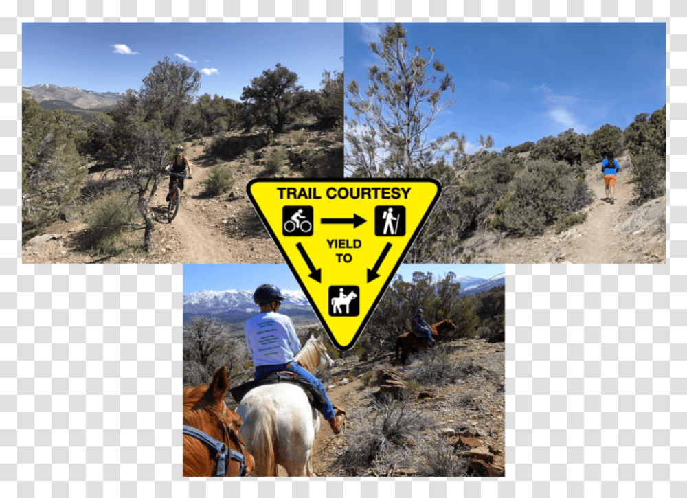 Trail Courtesy Stallion, Bicycle, Vehicle, Transportation, Bike Transparent Png