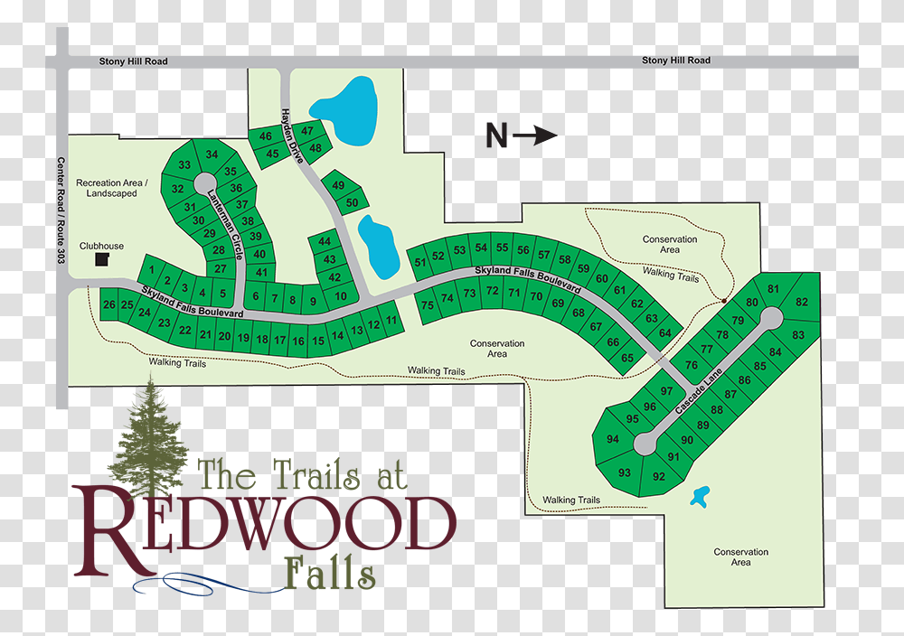 Trails At Redwood Falls, Apparel, Footwear, Sandal Transparent Png