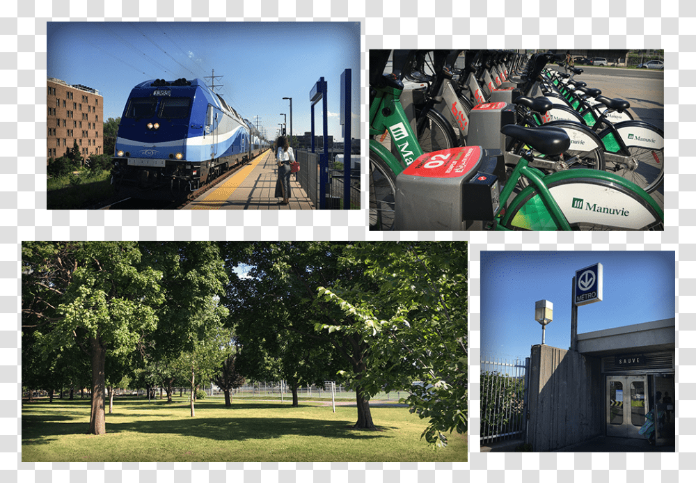 Train Metro Velo Aldea Ahuntsic Tree, Person, Human, Transportation, Vehicle Transparent Png