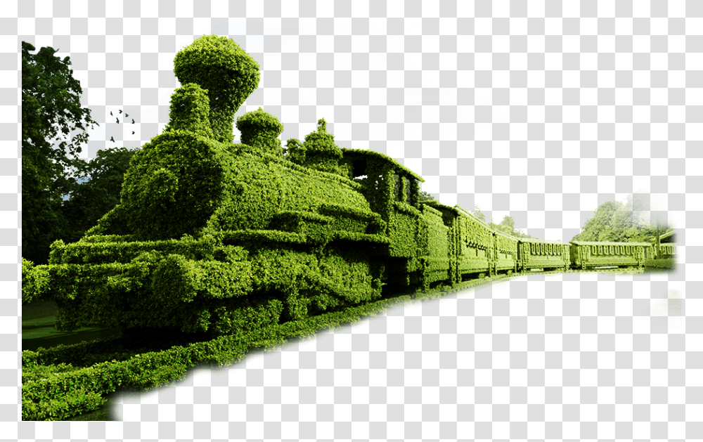 Train Topiary Garden Locomotive Transportation Topiary Train, Plant, Green, Bush, Vegetation Transparent Png