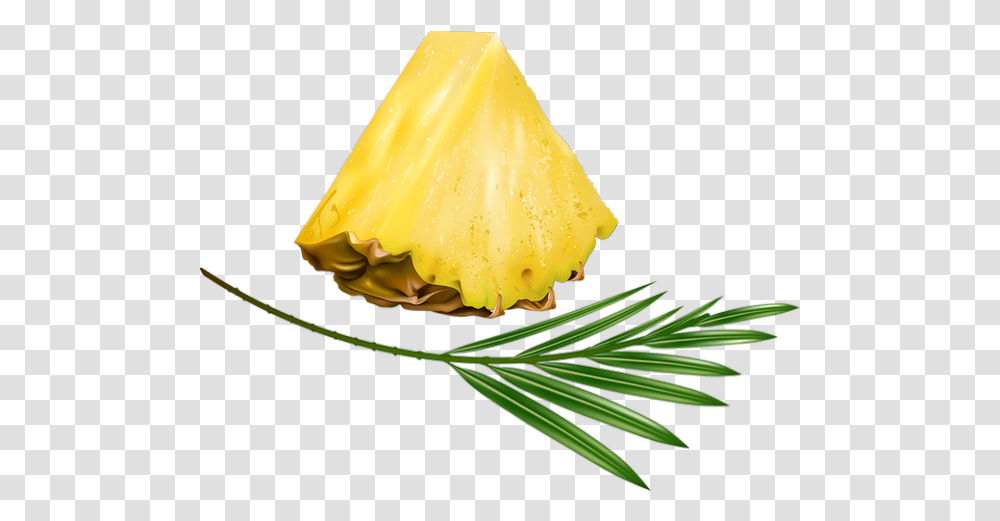 Tranche D'ananas Tube Fruit Pineapple Ananas, Plant, Food Transparent Png
