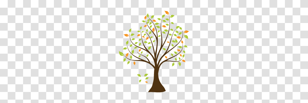 Tranquility Tree Wall Decals Dezign With A Z, Plant, Rug Transparent Png