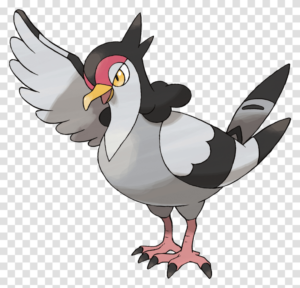 Tranquill Black And White Bird Pokemon, Animal, Pigeon, Dove, Beak Transparent Png