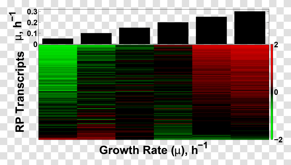 Transcriptional Growth Rate Response Of The Ribosomal Graphic Design, Tartan, Plaid Transparent Png