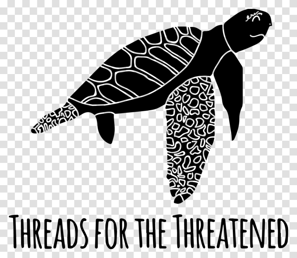 Transfer Baby Sea Turtle Hawksbill Sea Turtle, Gray, World Of Warcraft Transparent Png