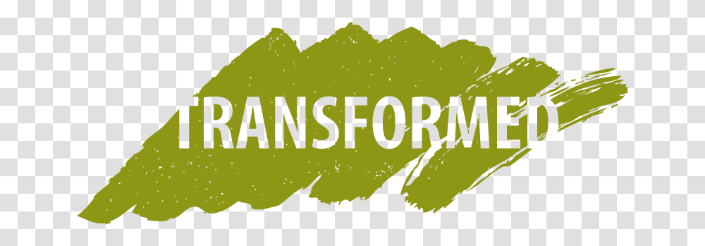 Transformed Rw17 Logo Conference Invites, Label, Plant, Word Transparent Png
