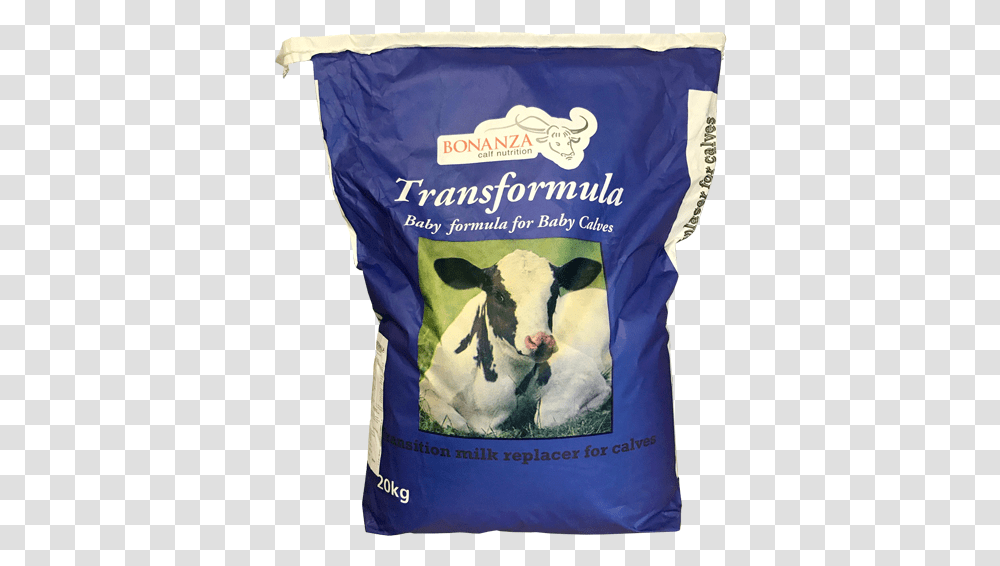 Transformula Calf Feed, Cow, Cattle, Mammal, Animal Transparent Png