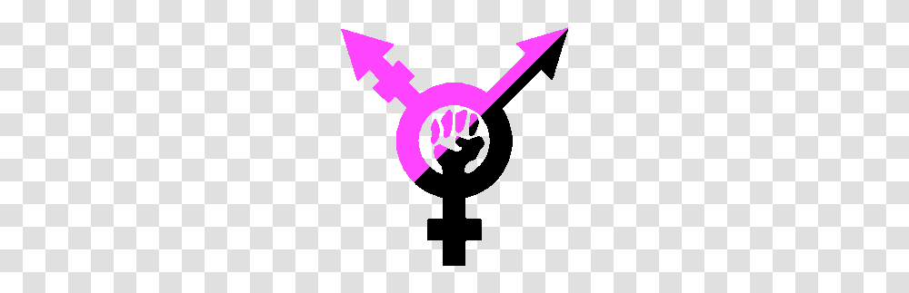 Transgender Archives, Key, Wand, Seesaw Transparent Png