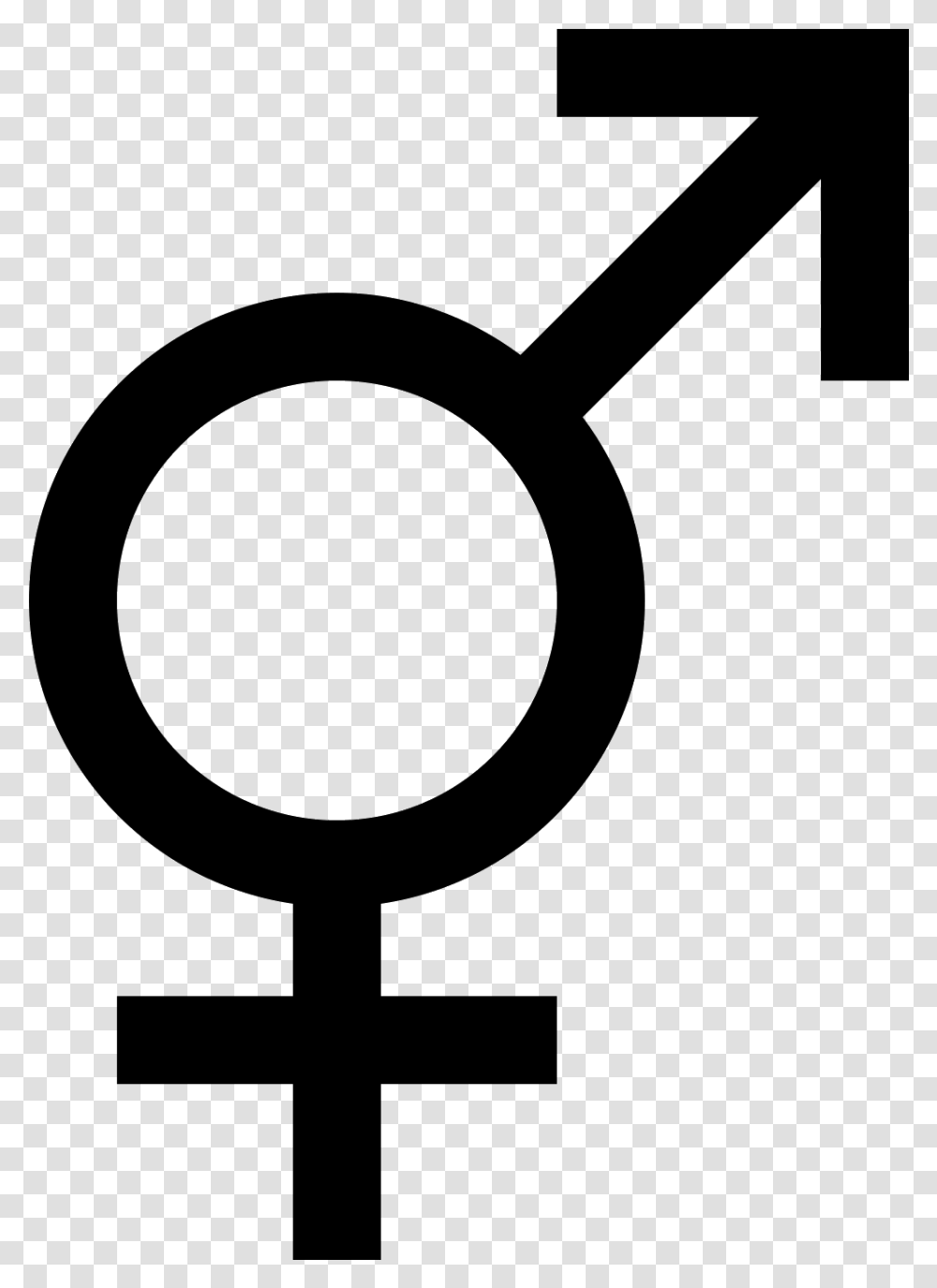Transgender Gender Symbol Clip Art Feminism Vs Masculism, Gray, World Of Warcraft Transparent Png
