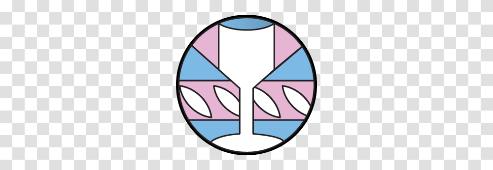 Transgender Pride Flag More Light Presbyterians, Diagram, Plot, Star Symbol Transparent Png