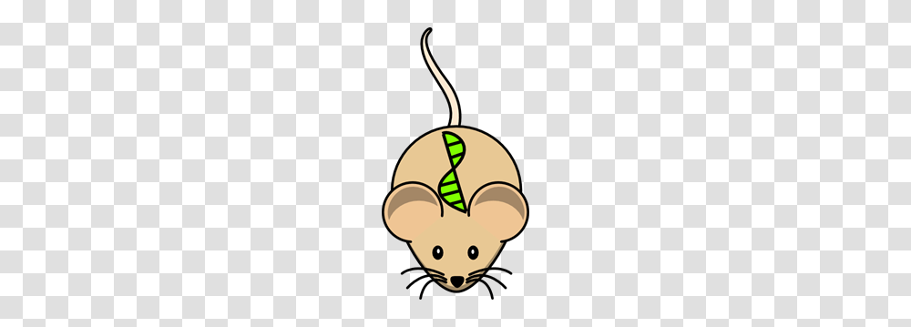 Transgenic Mouse Clip Art For Web, Invertebrate, Animal, Clam, Seashell Transparent Png